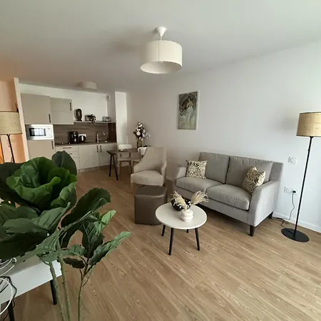Domitys 낭시